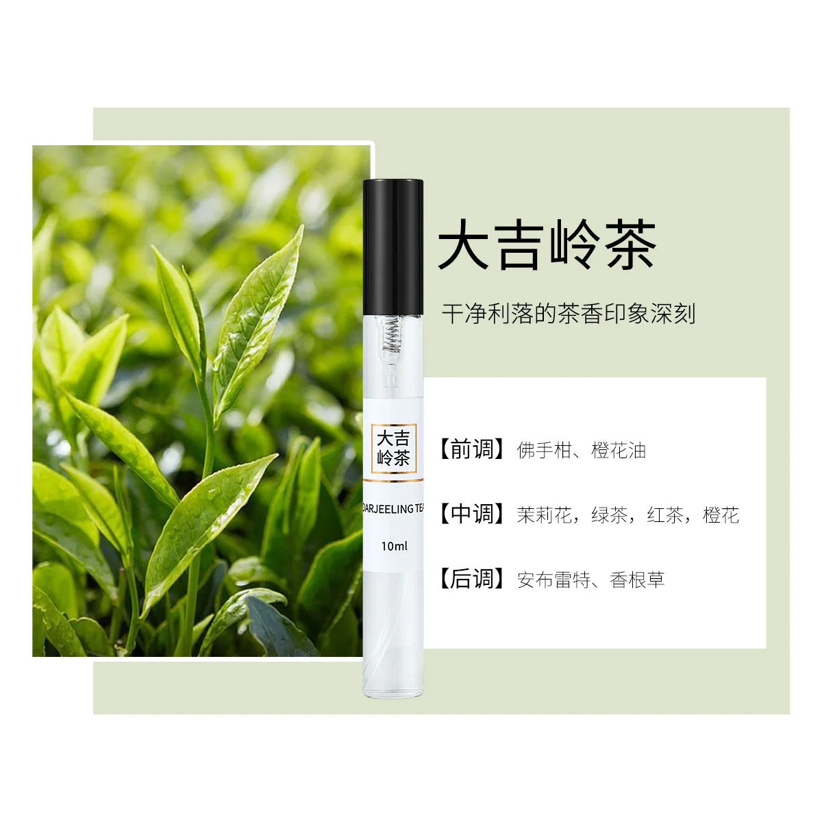 10ML Unisex Floral PERFUME Luxury Replica Sample Set Explore Various Scents at Low Cost