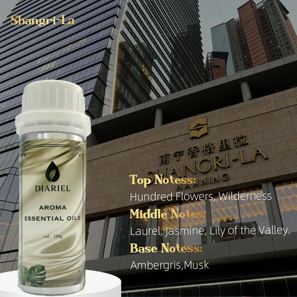 100ML Famous France Perfume Oil Men Women Fragrance Oasis Essential Oil Aromatherapy Aroma Diffuser Oil DLor Ton Foud Oud Wood