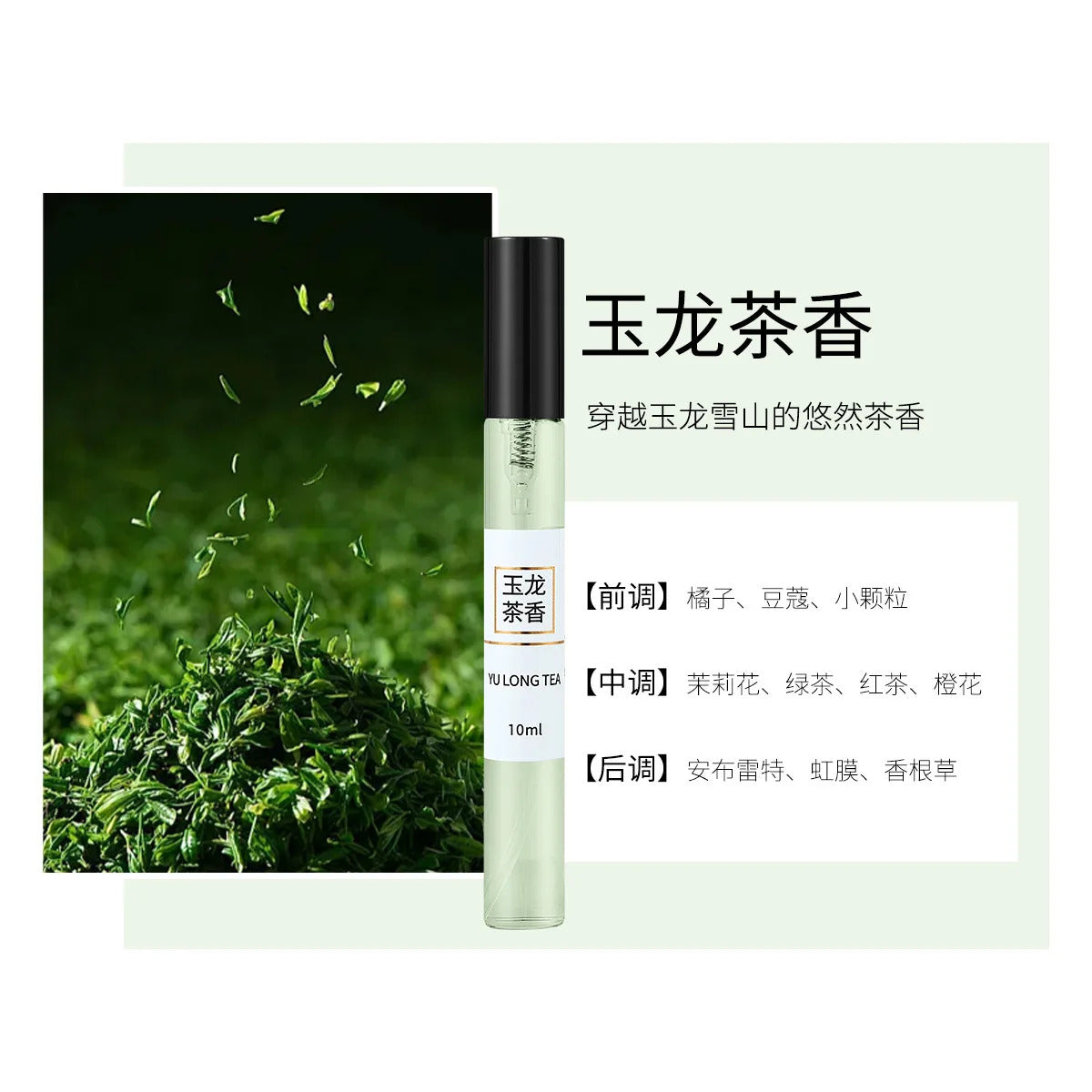 10ML Unisex Floral PERFUME Luxury Replica Sample Set Explore Various Scents at Low Cost